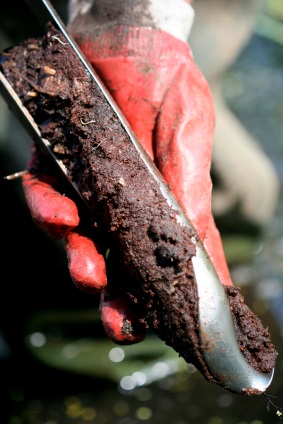 Mud Samples