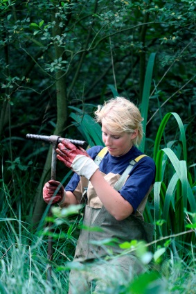 Taking Samples